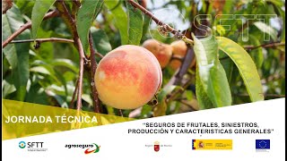 Jornada SEGUROS DE FRUTALES SINIESTROS PRODUCCION Y CARACTERISTICAS GENERALES [upl. by Iramo]