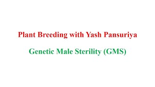 Genetic Male Sterility GMS Pollination Control [upl. by Swaine438]