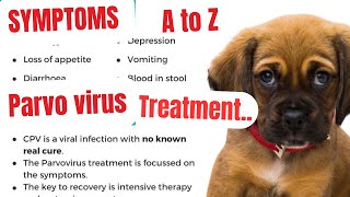 parvovirus in dogs  parvo dog virus treatment  parvovirus treatment  parvovirus symptoms  parvo [upl. by Grevera]