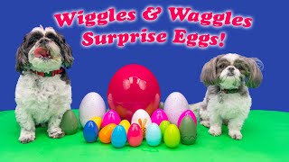 Assistant Opens Doggy Surprise Eggs with Wiggles and Waggles [upl. by Silenay]