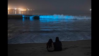 Bioluminescence in Long Beach [upl. by Aldarcy236]