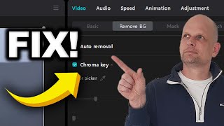 CapCut Background Remover Problem FIX [upl. by Coucher]