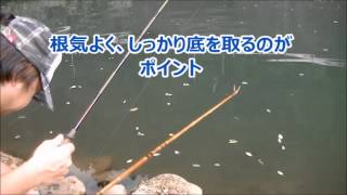 へらぶな釣り準備編 介绍锅铲鲫鱼日本钓鱼 Introducing spatula crucian carp fishing in Japan [upl. by Nibot]