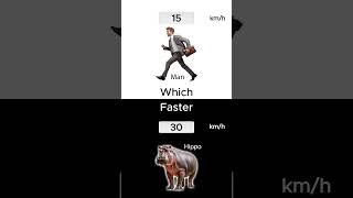 Which is the FASTEST 👌 shorts amazingfacts funfacts [upl. by Lagiba]