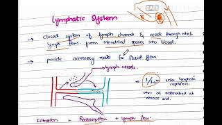 Lymphatic System  Microcirculation part 3 [upl. by Einniw]