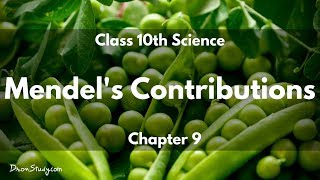 Heredity and Evolution  Mendels Contributions  CBSE Class 10 X Science Biology  Toppr Study [upl. by Ford]