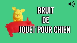 Bruit de JOUET POUR CHIEN 🧸🐕 [upl. by Agnella]