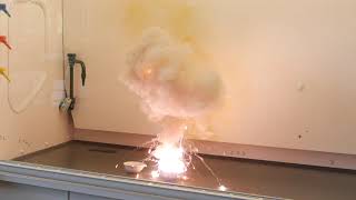 2020 Remote Class  Science Lab  Magnesium Explosion [upl. by Anissej]