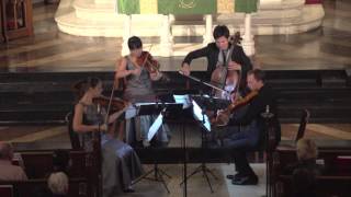 Attacca Quartet plays Haydn Op 33 no 5  First Movement [upl. by Eralcyram610]