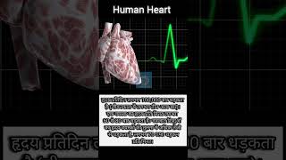 Human Heart Beat shorts shortsfeed facts trending [upl. by Ijies]