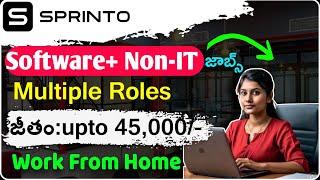 Sprinto Work From Home Jobs Telugu Telugu Jobs  Latest Jobs In Hyderabad 2024 [upl. by Asselam966]