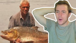 Fish Biologist reacts to quotRiver Monsters Tigerfishquot [upl. by Ezalb933]