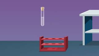 Esterification Reaction between Alcohol and Carboxylic Acid [upl. by Cornela]