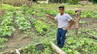 ￼ Ele se preparou para na velhice Morar em sua própria chácara e hoje Come o que planta e cria … [upl. by Coulson]