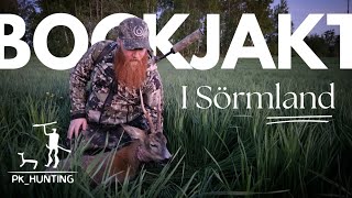 Bockjakt i viltrika Sörmland Bockjakt 2024 [upl. by Ahswat907]