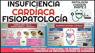 INSUFICIENCIA CARDÍACA FISIOPATOLOGÍA  GuiaMed [upl. by Haek]