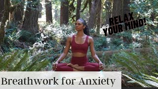 BREATHWORK FOR ANXIETY GUIDED CLASS [upl. by Shanda821]