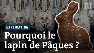 Pourquoi mangeton des lapins de Pâques [upl. by Anirehc]