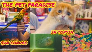 THE PET PARADISE PET VLOG IN TOPSIA  CHEAPEST PRICE PET SHOP [upl. by Ninetta]