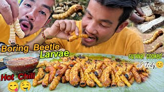 Survival SkillsBoring Beetle Larvae On Tree For FoodCooking Larvae For Eating Delicious In Jungle [upl. by Adnarem]