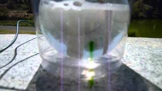 Photocatalytic Water Splitting [upl. by Jobyna]