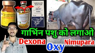 gyabhin pashu lagane par kya hoga  Dexona injection use  oxytetracycline injection  Vet injection [upl. by Boylston]