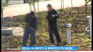 Gigi Becali sa prezentat în sacou în cea de a doua zi de muncă la Academia lui Hagi [upl. by Kast465]