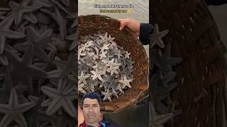 Rescue mission  fisherman left starfish but i gave them life 🥺 shorts trending fyp viralvideo [upl. by Nerha293]