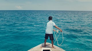 Secrets of Reethi Rah – Freediving in the Maldives [upl. by Coats]