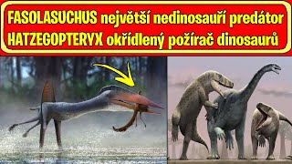 FASOLASUCHUS největší nedinosauří predátor a HATZEGOPTERYX okřídlený požírač dinosaurů [upl. by Nannette]