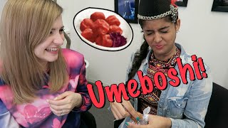 Japanese Food Trying ONIGIRI  UMEBOSHI for the First Time [upl. by Nnyliram831]