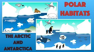 Polar Habitats for Kids Facts and Quiz  Arctic and Antarctica [upl. by Harrington21]