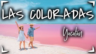 Las Coloradas YUCATAN y Rio Lagartos 🔴 GUIA COMPLETA ► Que hacer precios hospedaje 🟡 Vale la PENA [upl. by Sutsugua]