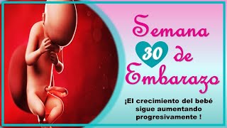 ❤️ SEMANA 30 DE EMBARAZO🤰 ❤️ ⏩ EMBARAZO SEMANA A SEMANA ⏩ Desarrollo y Evolución del Bebé 👶🏻 [upl. by Irej]