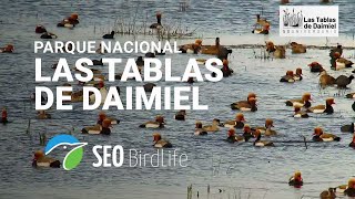 🔴 Parque Nacional de las Tablas de Daimiel Ciudad Real España [upl. by Albertine]