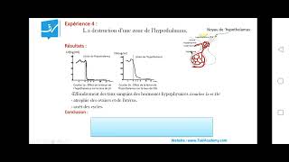 SVT  régulation de cycle séxuelle  EP3  role de lhypothalamuse Bac math et sc [upl. by Chaudoin109]