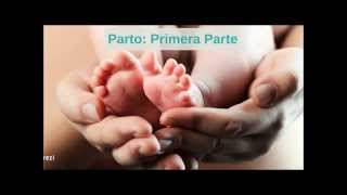 Parto Pelvis Materna Movil Fetal mecanismo de parto [upl. by Ellehcar]