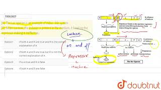 A The Lac operon is an example of induc ible system R When Lactose the inducer is prese [upl. by Smailliw]