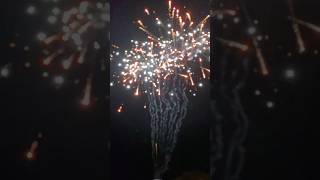 UNIVERSE 260 shots fireworks Fireworks pyrotechnics rocket [upl. by Choong]