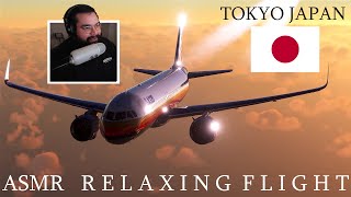 ASMR Relaxing Sunset Flight Flight Simulator [upl. by Alyce275]