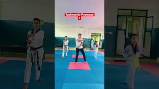 Taekwondo Poomsae 1 Step by step youtubeshorts youtube viral shorts youtuber poomsae foryou [upl. by Wynnie48]