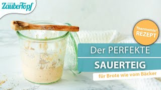 😍😍 Super EINFACHER Sauerteig mit dem Thermomix® So gelingt er dir [upl. by Graybill]