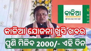 kalia yojana money New Update 2024  kalia yojana kalia yojana BIG update  kalia yojana money 2024 [upl. by Yme]