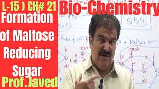 FORMATION OF MALTOSE  REDUCING SUGAR  DiSaccharide  L15  Biomolecule Urdu  By ProfJaved [upl. by Nniuq185]