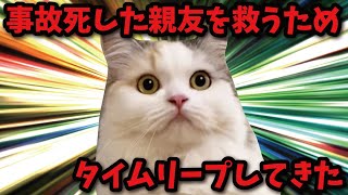 【感動？】タイムリープして事故死した親友猫を救う物語【猫アニメ】【コント】 [upl. by Rubie]