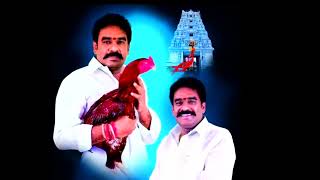 pinnelli ramakrishna reddy new song bhali bhali [upl. by Esorbma689]