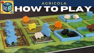 How to Play Agricola in under 10 minutes [upl. by Gnuhn]