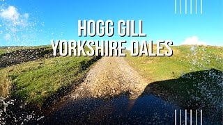 Exploring the Scenic Hogg Gill Lane  A UCR Gem in the Yorkshire Dales  SD969401 [upl. by Snapp901]