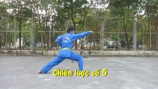 Chiến Lược số 1 2 3 4 5  Vovinam Việt Võ Đạo [upl. by Nylirac]