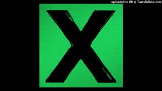 Ed Sheeran  Nina Audio [upl. by Ecirtemed245]